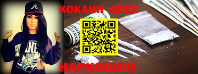 крисы Дубна