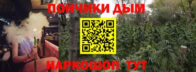 крисы Дубна