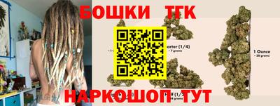 крисы Дубна