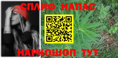 крисы Дубна