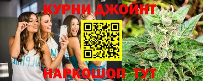 крисы Дубна