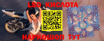 молекула духа Донской