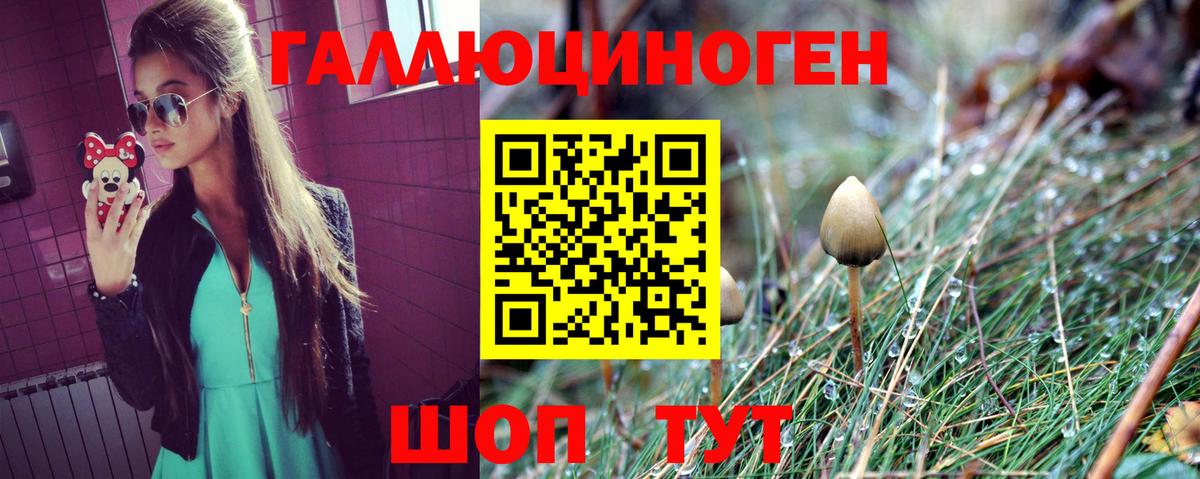 Новоуральск  Галлюциногенные грибы Psilocybe  Псилоцибиновые грибы GOLDEN TEACHER  Вход с VPN 